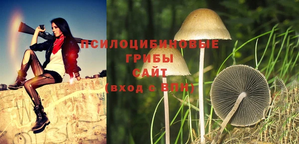 мет Вяземский